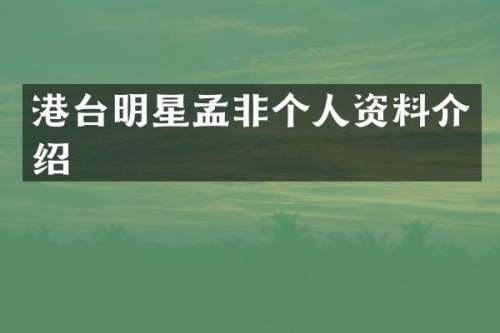港台明星孟非个人资料介绍