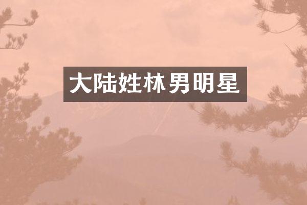 大陆姓林男明星