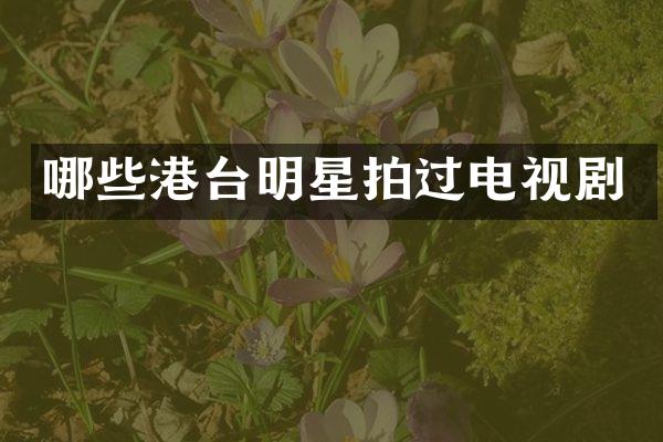 哪些港台明星拍过电视剧