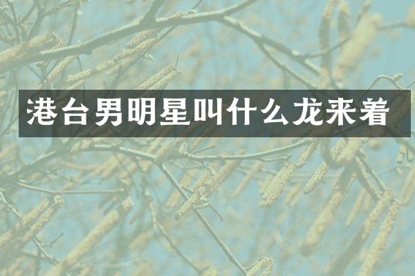 港台男明星叫什么龙来着
