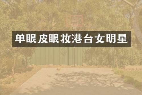 单眼皮眼妆港台女明星
