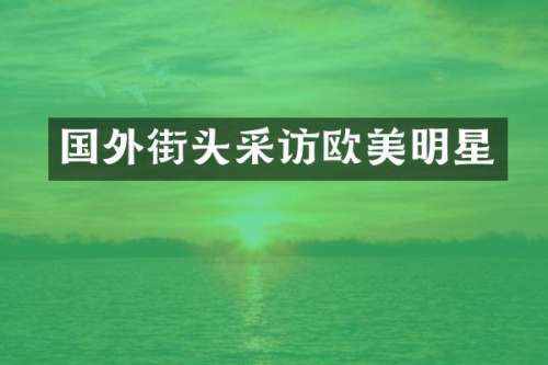 国外街头采访欧美明星