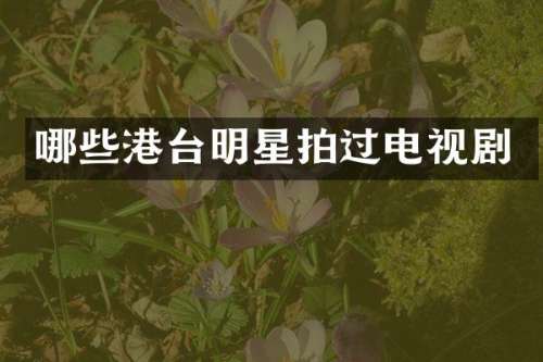 哪些港台明星拍过电视剧