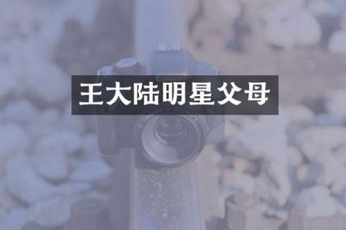 王大陆明星父母