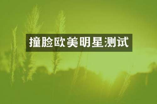 撞脸欧美明星测试
