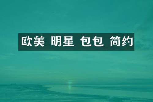 欧美 明星 包包 简约