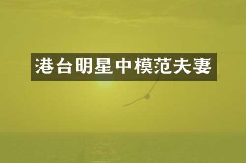 港台明星中模范夫妻