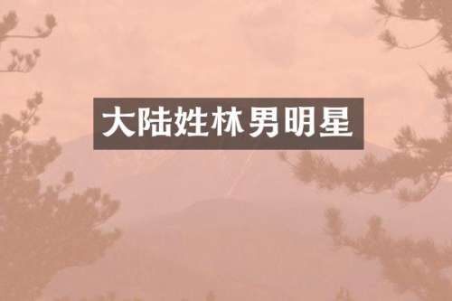 大陆姓林男明星