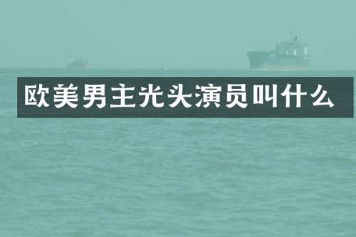 欧美男主光头演员叫什么
