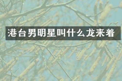 港台男明星叫什么龙来着