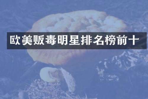 欧美明星排名榜前十