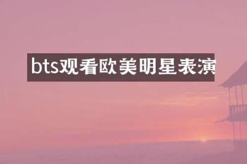 bts观看欧美明星表演