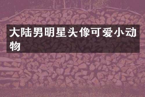 大陆男明星头像可爱小动物