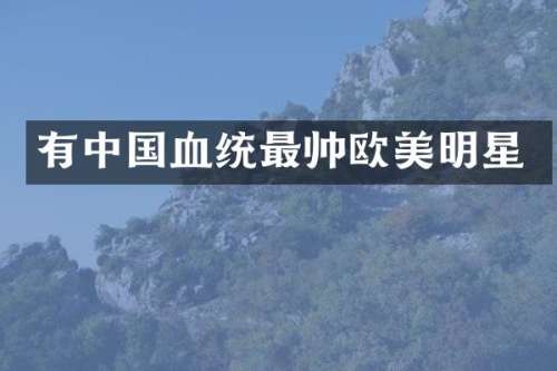 有中国血统最帅欧美明星