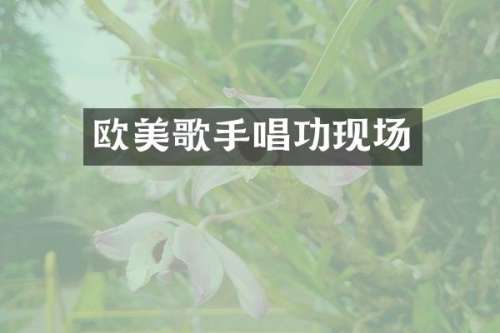 欧美歌手唱功现场