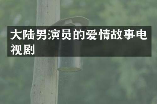 大陆男演员的爱情故事电视剧