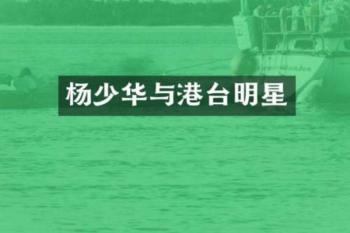 杨少华与港台明星