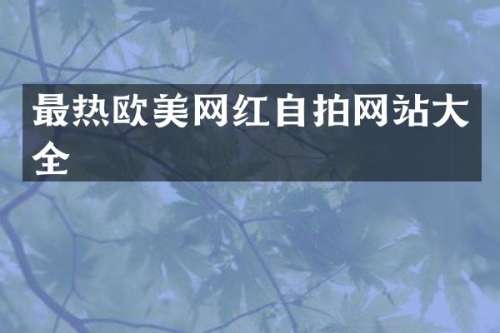 最热欧美网红自拍网站大全