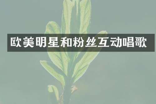 欧美明星和粉丝互动唱歌