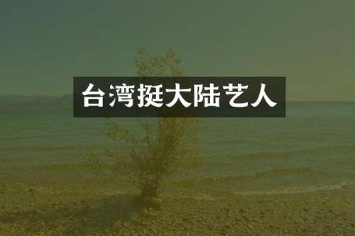 台湾挺大陆艺人