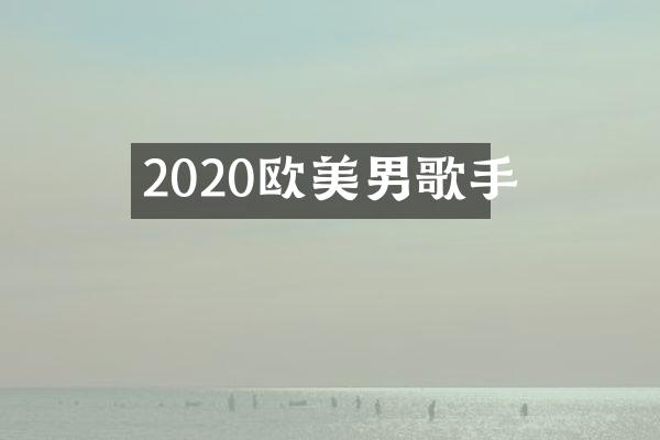 2020欧美男歌手