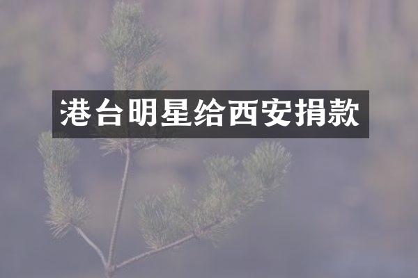 港台明星给西安捐款
