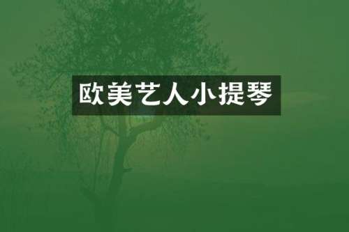 欧美艺人小提琴