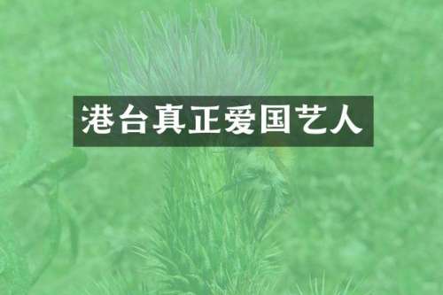 港台真正爱国艺人