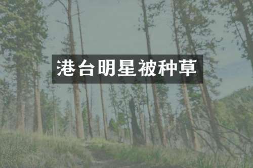 港台明星被种草