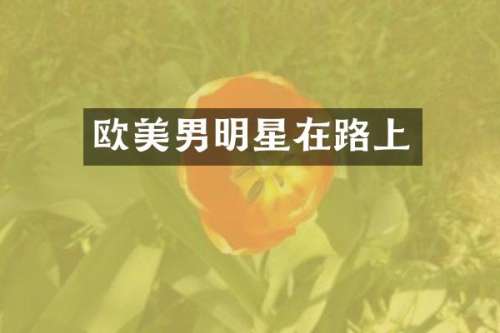 欧美男明星在路上
