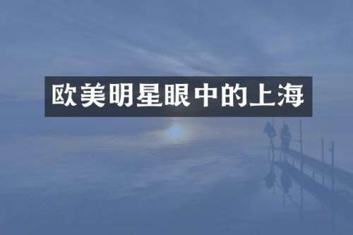 欧美明星眼中的上海
