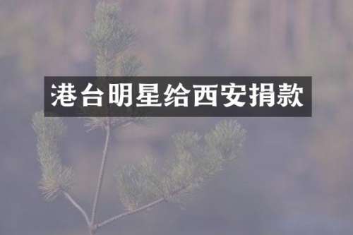 港台明星给西安捐款