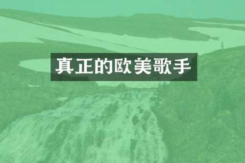 真正的欧美歌手