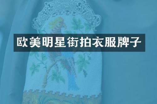 欧美明星街拍衣服牌子