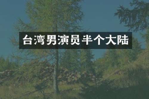 台湾男演员半个大陆