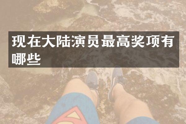 现在大陆演员最高奖项有哪些