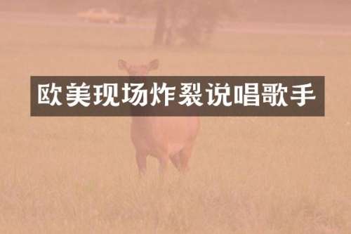 欧美现场炸裂说唱歌手