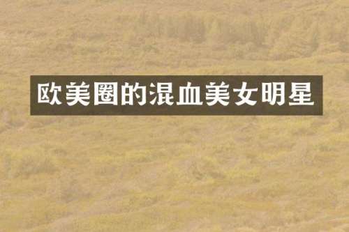 欧美圈的混血明星