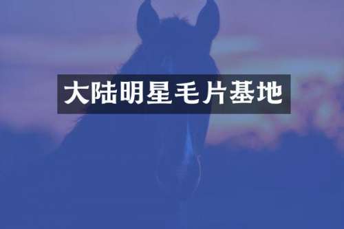 大陆明星基地