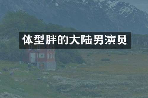 体型胖的大陆男演员