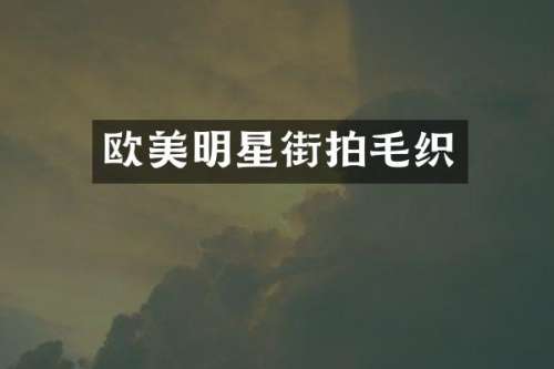 欧美明星街拍毛织
