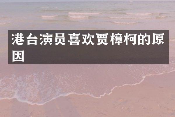 港台演员喜欢贾樟柯的原因