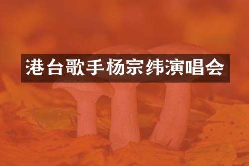 港台歌手杨宗纬演唱会