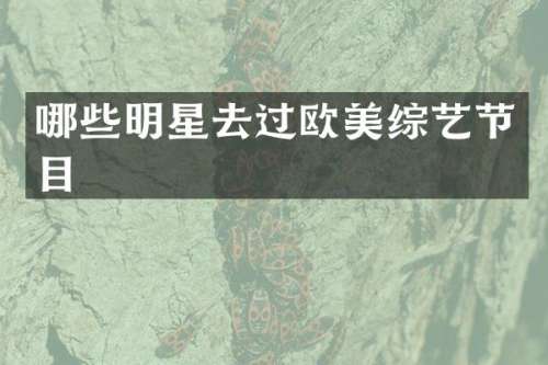 哪些明星去过欧美综艺节目