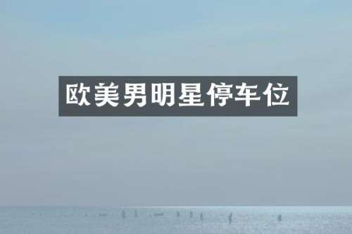 欧美男明星停车位