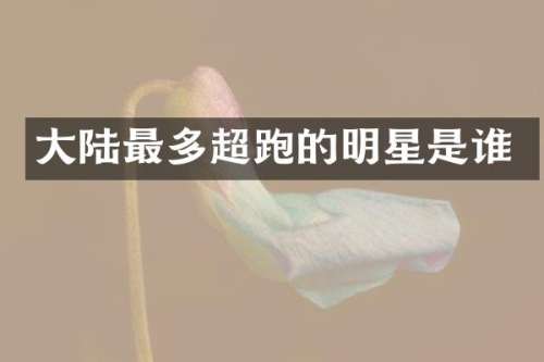 大陆最多超跑的明星是谁