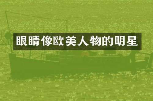 眼睛像欧美人物的明星