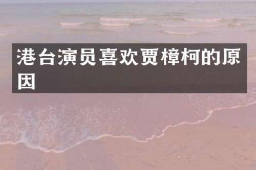港台演员喜欢贾樟柯的原因