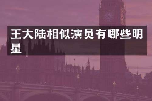 王大陆相似演员有哪些明星