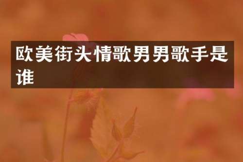 欧美街头情歌男男歌手是谁